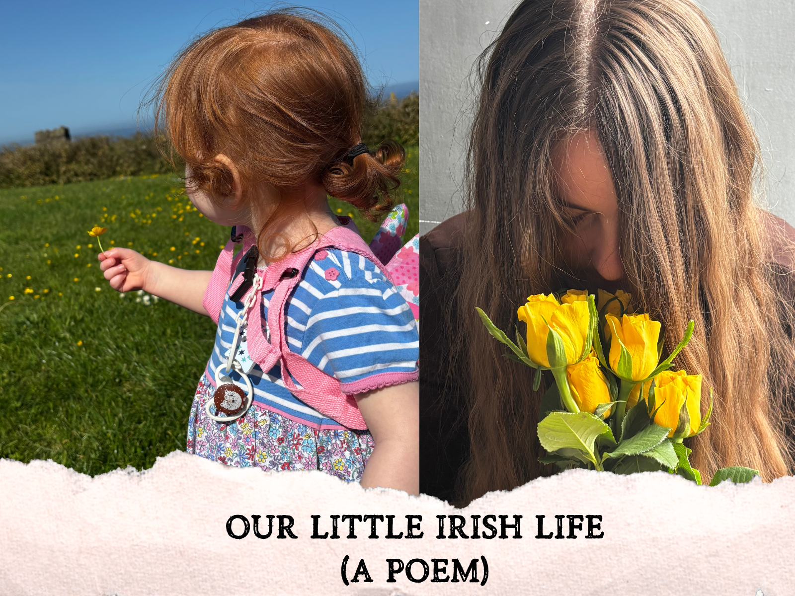 Our Little Irish Life ( A Poem)